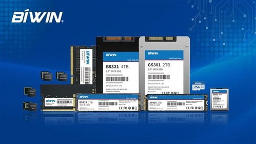 国产半导体龙头企业佰维存储向港交所提交上市申请书，拓展信息技术咨询服务市场